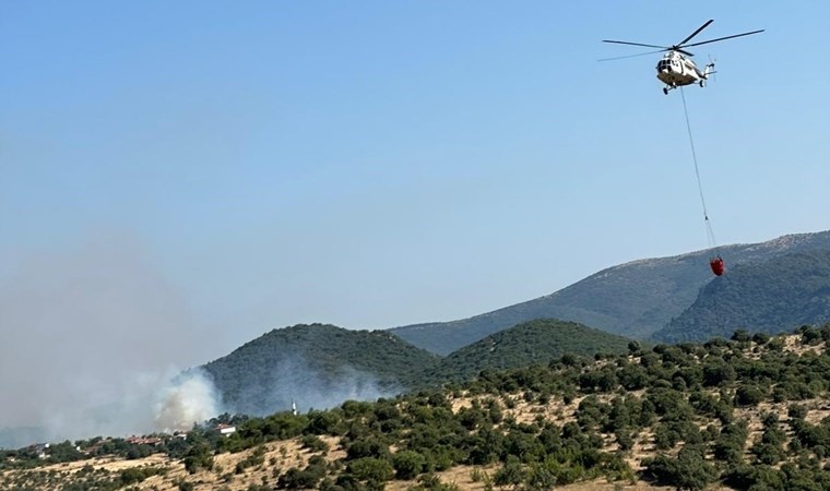 Balıkesir'de ormanlık alanda yangın!