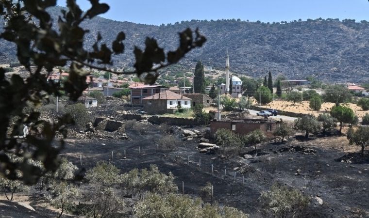 Manisa’da yangının yaraları sarılacak