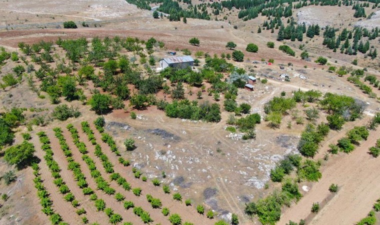 Medeniyetler beşiği 5 bin yıllık Harput'ta hasat erken başladı