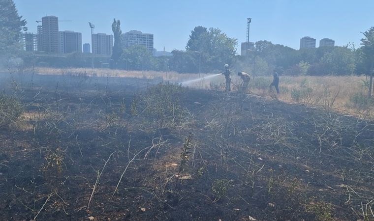 Marmara Üniversitesi'nde otluk alanda yangın