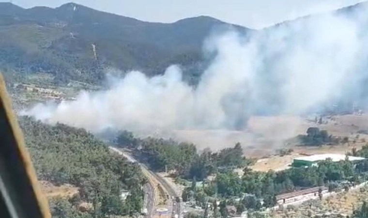 İzmir'de orman yangını! (25 Haziran 2024)