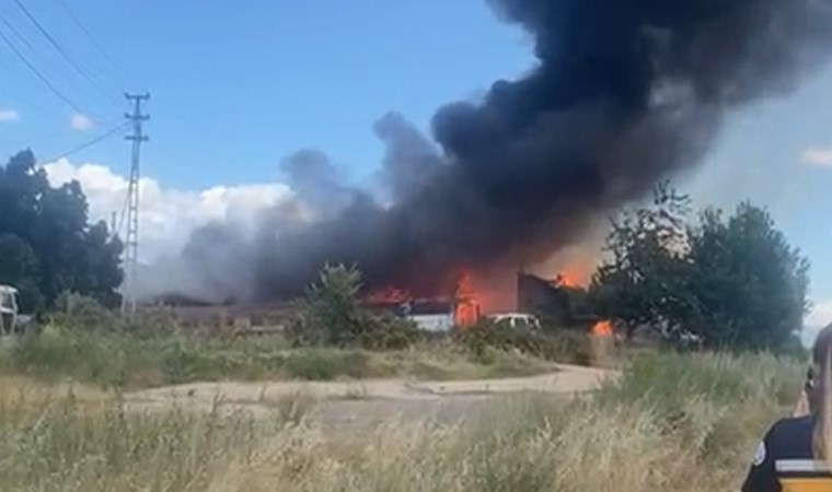 Tokat’ta ahır yangını: 500 büyükbaş tahliye edildi