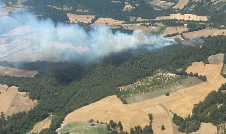 Balıkesir'de arazide çıkan yangın ormana sıçradı