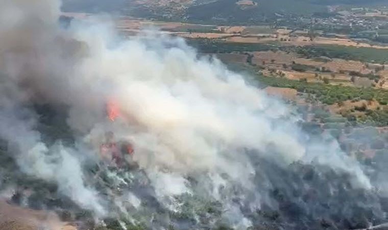 Balıkesir'de orman yangını