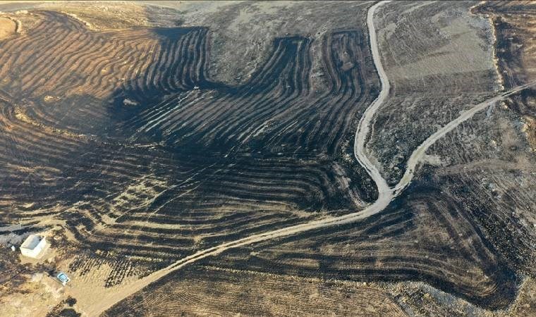 Uzmanlar anız yangınlarıyla mücadelenin ilk adımının denetim olduğunu söyledi