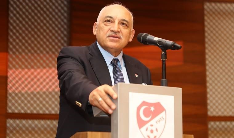 Mehmet Büyükekşi'den EURO 2024 açıklaması: 'Hedef Avrupa Şampiyonası'nda...'