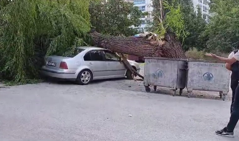 Ankara'da kuvvetli rüzgar: Ağaç devrildi, 4 araç hasar gördü