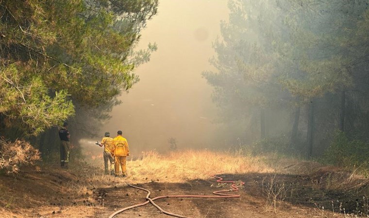 Bursa’da makilik yangını: Ekipler alevlerin içinde kaldı!