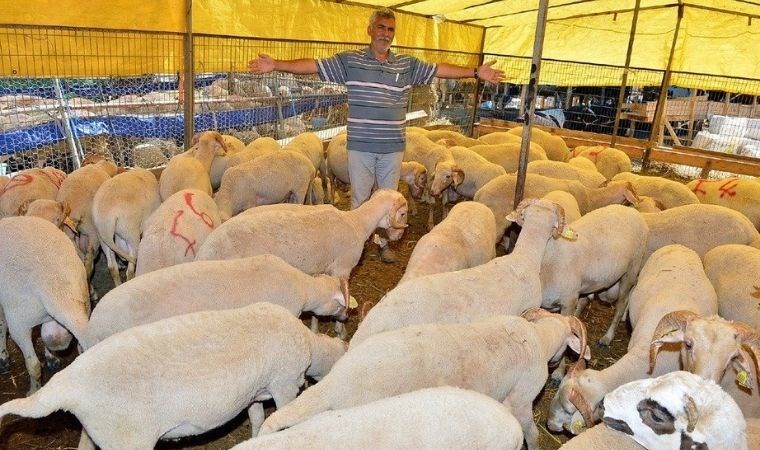 İzBB’den Kurban Bayramı için bağış kampanyası