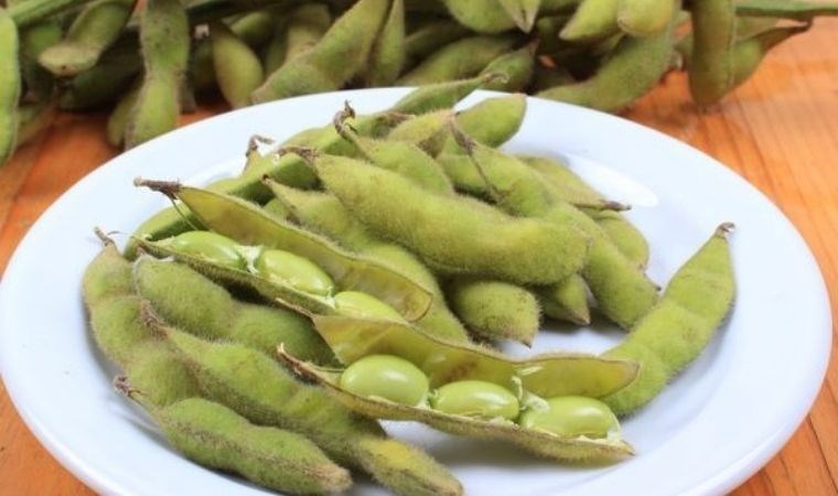 Taze fasulyeye benzeyen protein zengini besin: Edamame ve bilinmeyen faydaları...