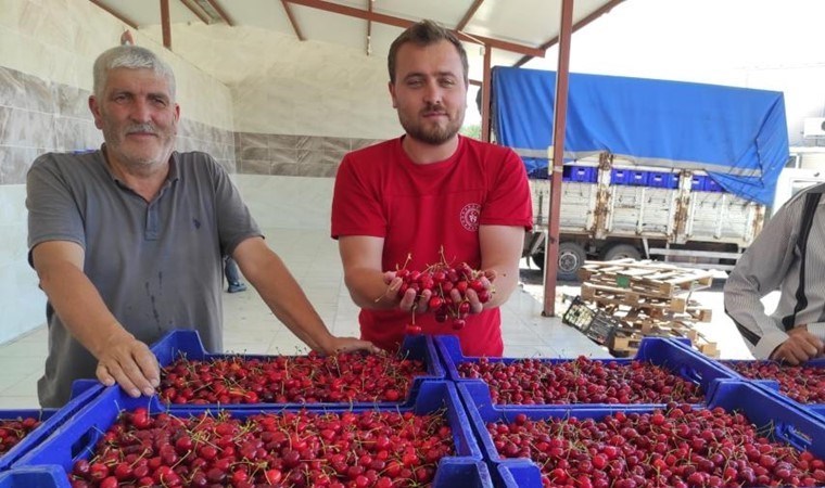 Tütüne alternatif olarak üretilmişti! Üreticiler umduğunu bulamadı...