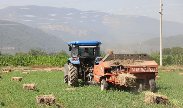 Muğla’da üreticiye 5 milyon TL’lik destek