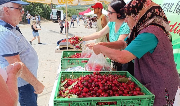 Enez'de üretiliyor Avrupa'ya ihraç ediliyor: Hasadı başladı...