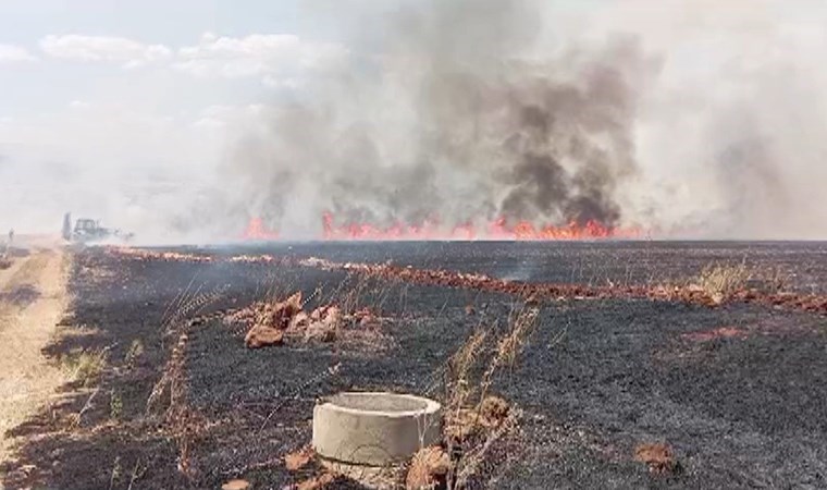 Kahramanmaraş'ta yaklaşık 150 dönüm buğday tarlası yandı