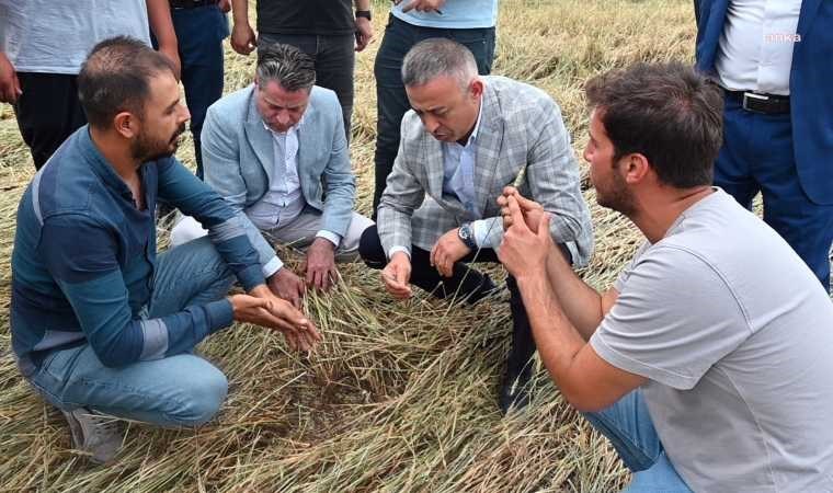 Çiftçilerden zarar gören tarım alanları için 'afet bölgesi' talebi