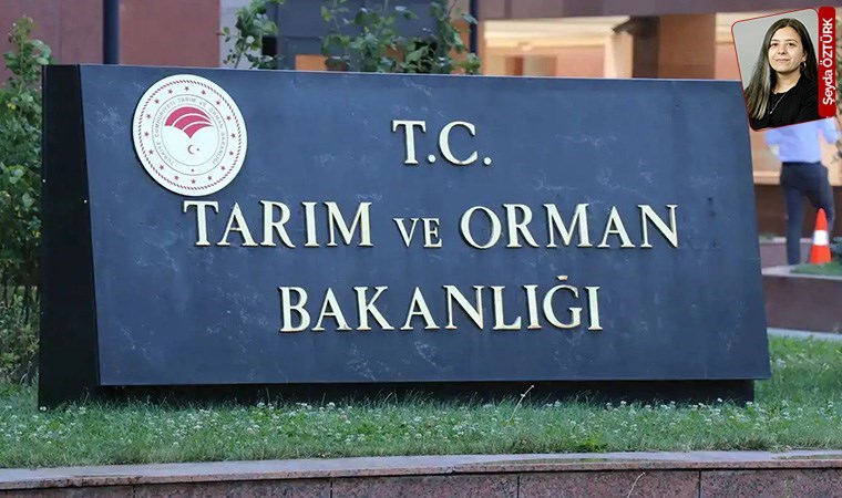 Önce orman alanına maden ocağı açmak için izni aldılar, şimdi kapasiteyi artıracaklar