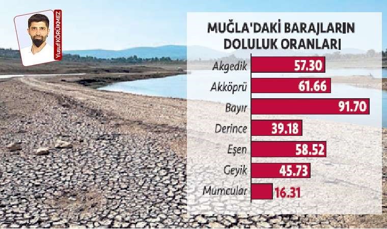 Doğal Kaynaklar ve çevre, santrallar için kurban ediliyor