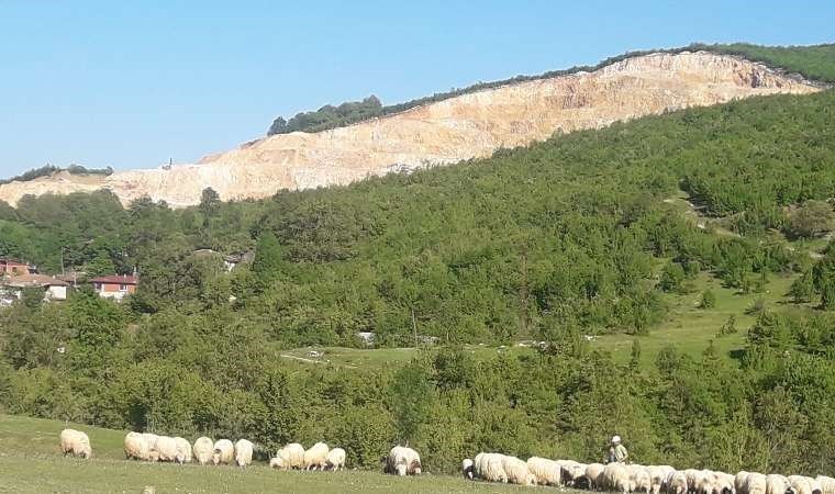 Samsun’da taş ocağı tepkisi