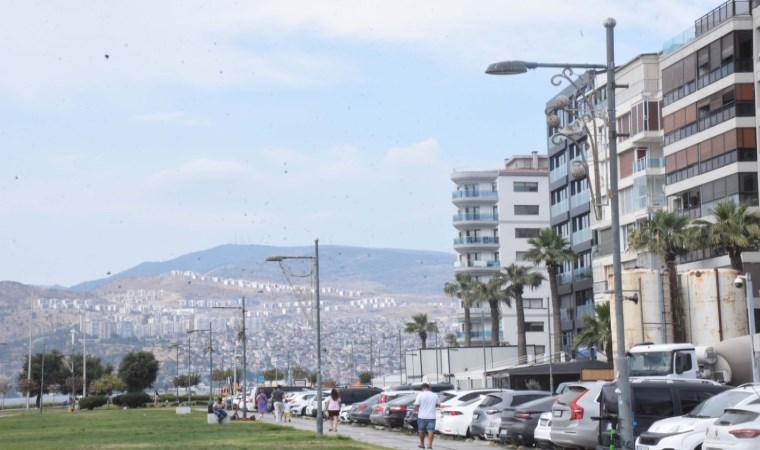 Uzmanından korkutan 'İzmir' açıklaması: 'Olası bir depremde deniz kentin içine girecek'