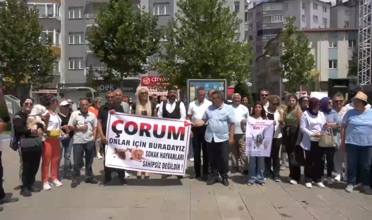 Çorum'da hayvanseverler, sokak hayvanlarıyla ilgili kanun teklifini protesto etti: 'Bu kan kokan yasa teklifi geri çevrilmelidir'