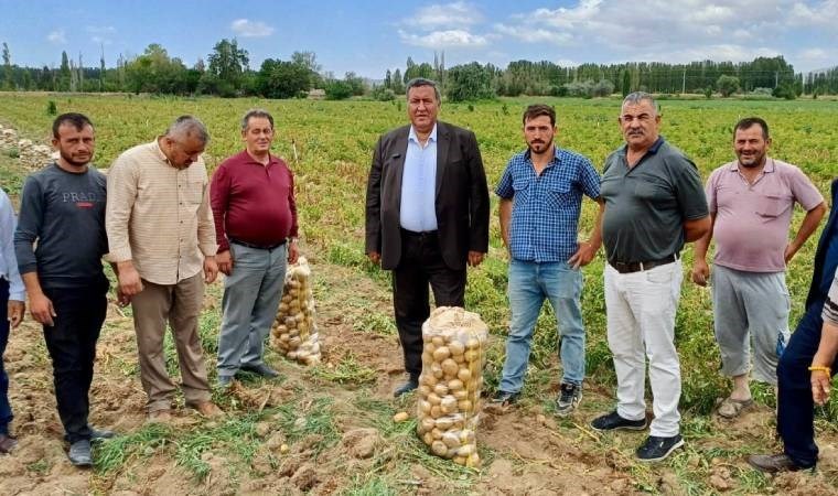 Ömer Fethi Gürer: Patatesler, maliyetinden dolayı tarlada kalıyor