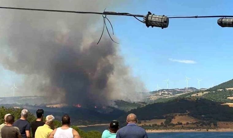 Çanakkale'de orman yangını (15 Temmuz 2024)