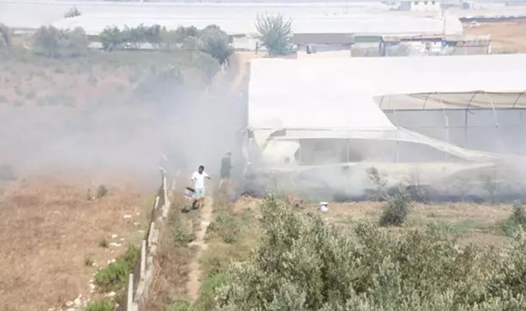 Antalya'da yangın paniği: Alevler ormana ve seralara zarar verdi!