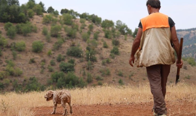 Şehir şehir gezerek ‘kara elmas' arıyor: Köpeği buluyor, kendisi satıyor! Dünyanın en pahalısı...