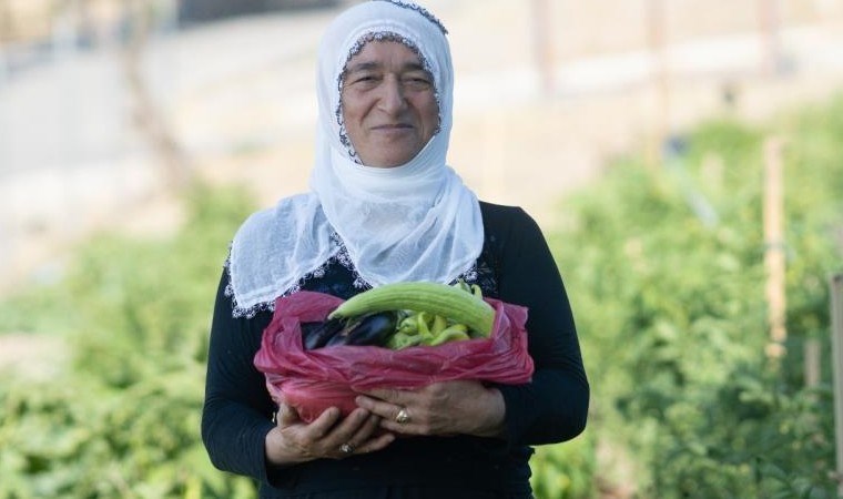 Mahalle bostanında hasat zamanı: 137 kadın tarafından yetiştiriliyor