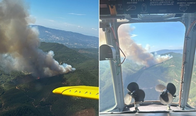 Bergama'da ormanlık alanda yangın!