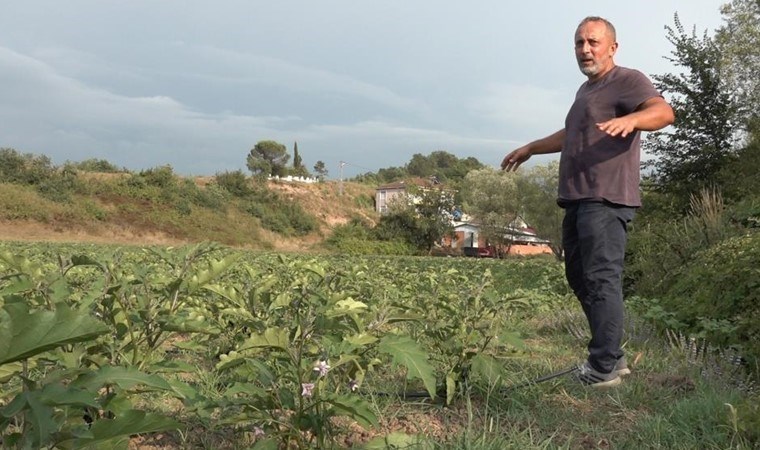 'Burada tarım olmaz' diyenleri dinlemedi 4 ayda 4 milyon gelir elde etti...