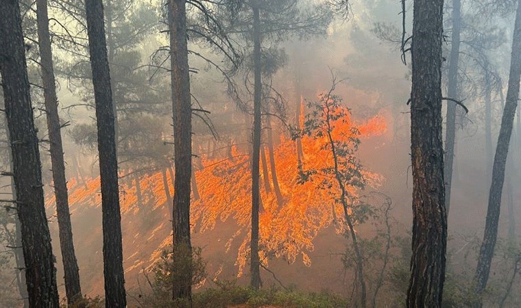 İzmir’de orman yangınıyla mücadele 18’inci saatte