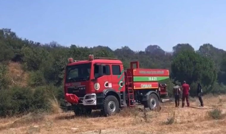 Balıkesir'de orman yangını!