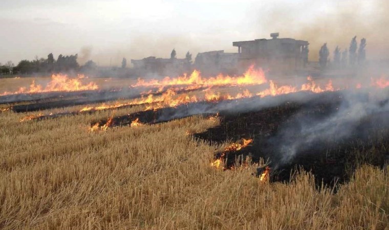 Şanlıurfa'da anız yakan 206 kişiye milyonlarca liralık ceza!