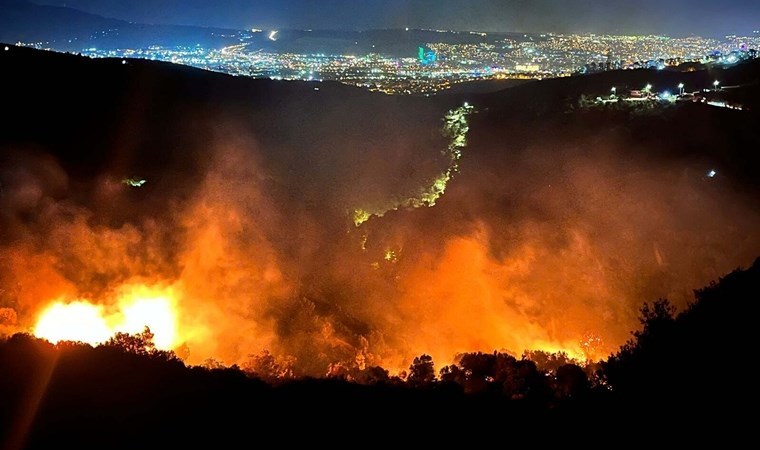 Bornova'daki orman yangınının nedeni belli oldu