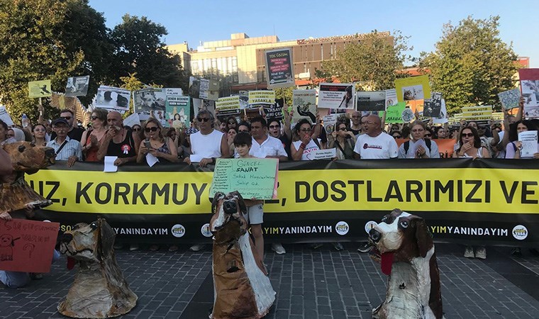 Yurttaşlar hayvan katliamı yasasına karşı toplandı: 'Yasa değil cinayet'