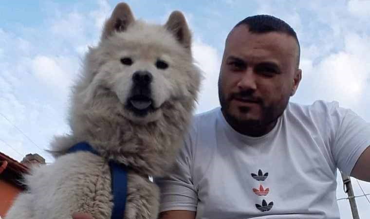 Köpeğinin zehirlenerek öldürüldüğü iddiasıyla şikayetçi oldu