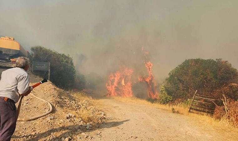 Çanakkale'deki yangında acı bilanço: 2 hektar orman, 8 hektar tarım arazisi zarar gördü