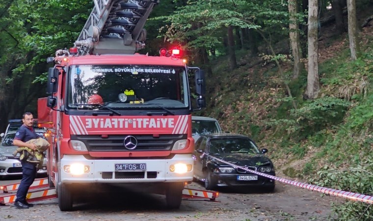 Belgrad Ormanı'nda park halindeki 2 otomobilin üzerine ağaç devrildi