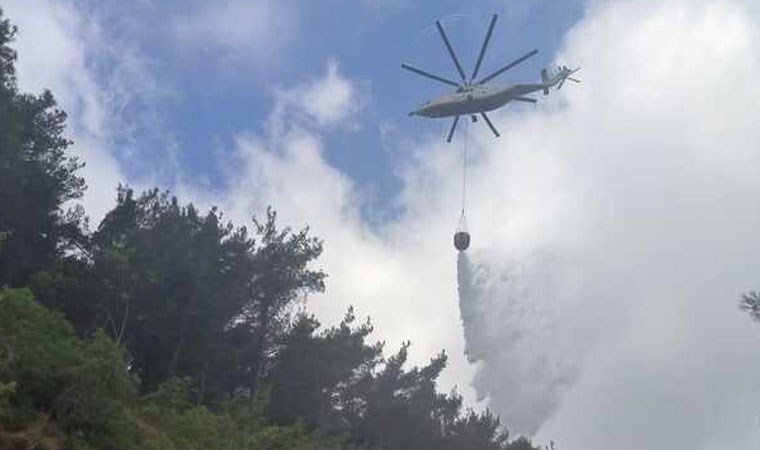 Hatay'da orman yangını