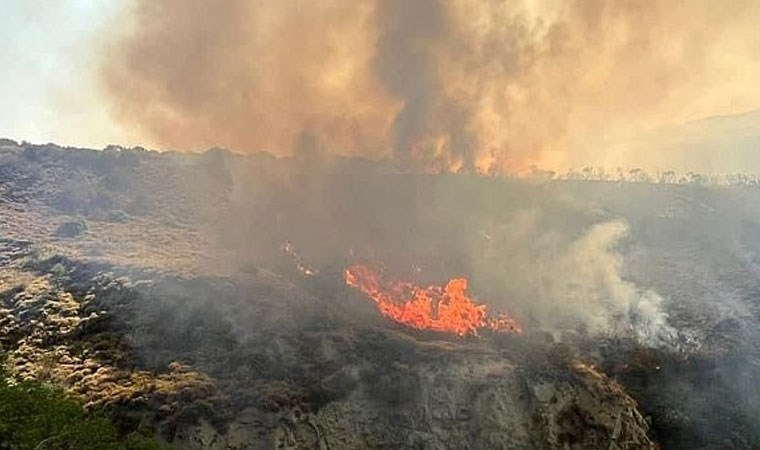 Şarköy’de otluk alanda yangın