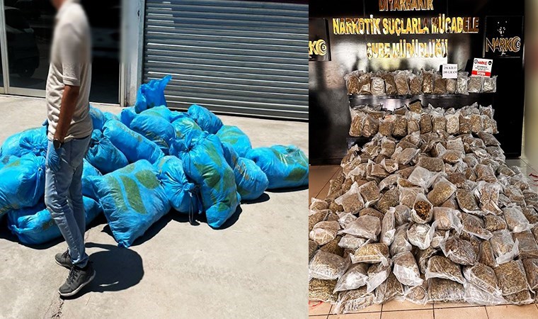 İş yerinde 296 kilo skunk ele geçirildi: 1 gözaltı