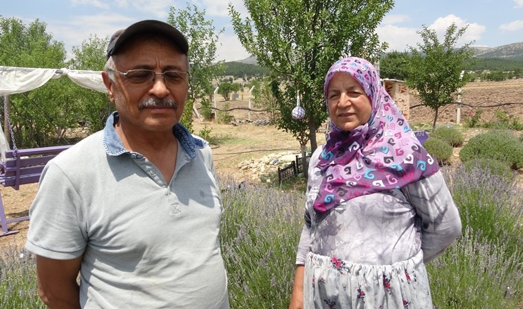 9 yıl önce hobi amacıyla kurduğu lavanta bahçesi şimdi gelir kapısı oldu