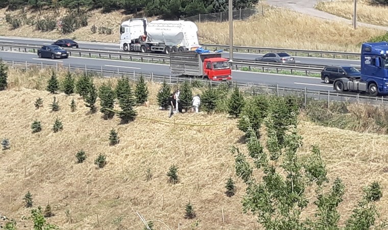 TEM kenarında çürümeye başlamış kadın cesedi bulundu