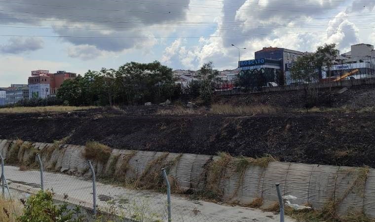 Basın Ekspres Yolu’nda 2 genç yol kenarında bulunan otları ve ağaçları yakıp kaçtı