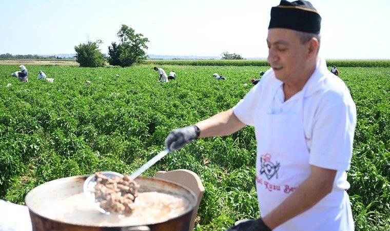 Karaağaç'ta hasat geç başladı: Edirne tava ciğerinin lezzet ortağı...