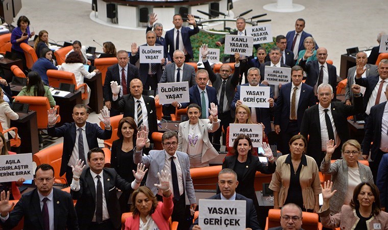 CHP'den sokak hayvanları yasa tasarısına protesto: 'Kanlı yasaya hayır'