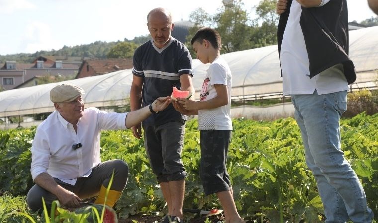 Beykoz'da alım garantili hasat zamanı