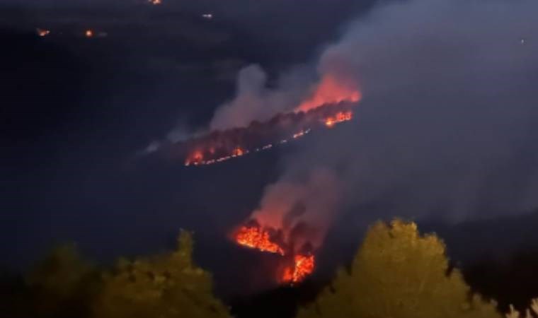 Kastamonu’da iki farklı noktada orman yangını