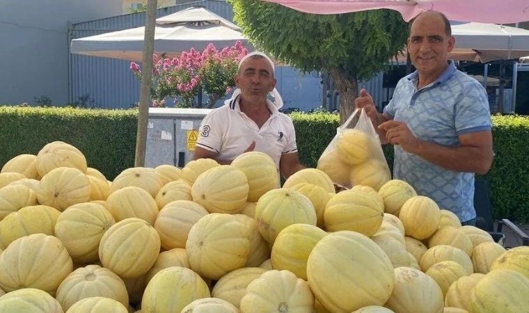 Binbir zahmetle ekiliyor: Muz kavunu tezgahlarda yerini aldı